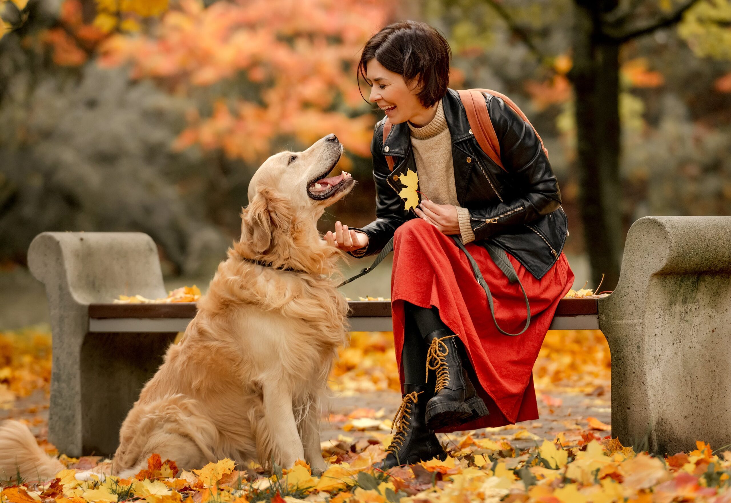 Woman sitting on a bench in an autumn park with golden retriever